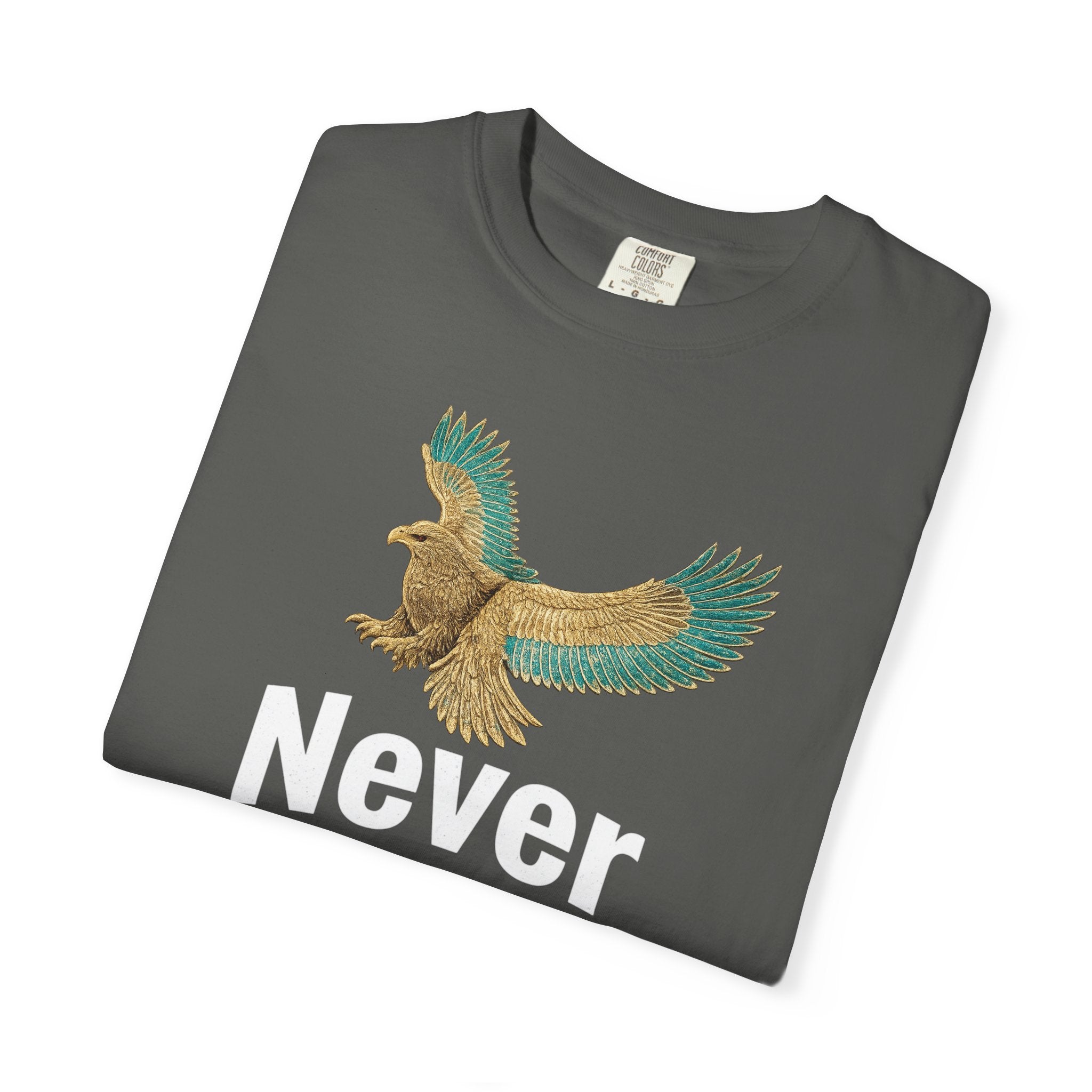 Never Look Down Vintage Eagle Tee